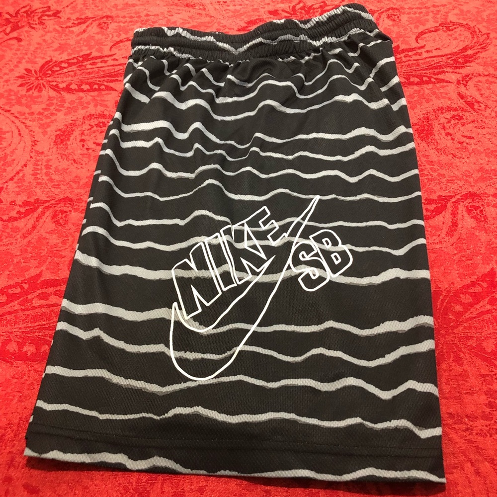 Nike SB Boys Shorts (L 12-13yrs)